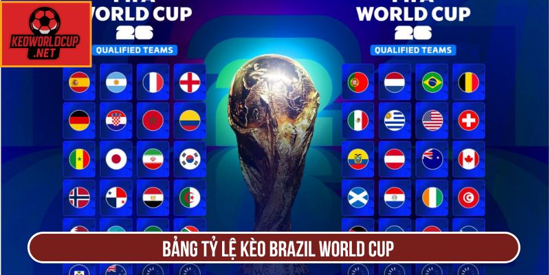 Bảng tỷ lệ kèo Brazil World Cup
