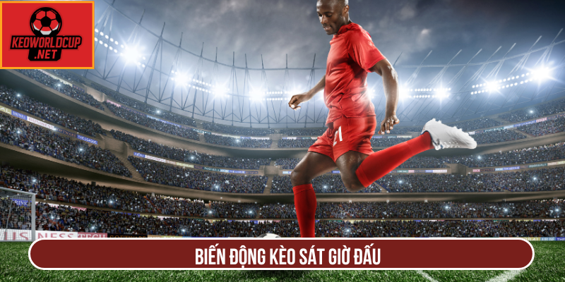 Biến động kèo sát giờ đấu