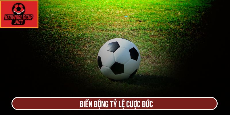 Biến động tỷ lệ cược Đức