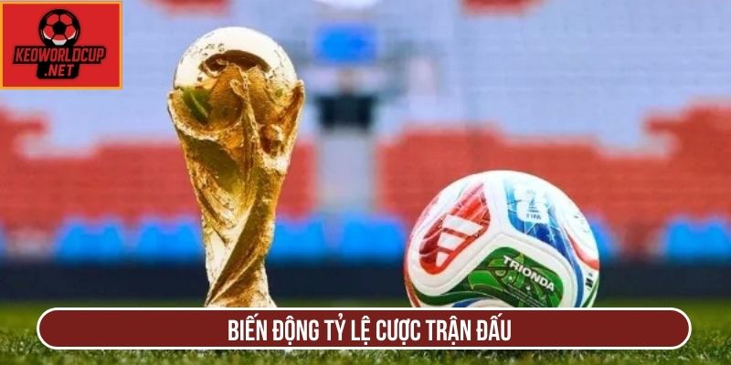 Biến động tỷ lệ cược trận đấu