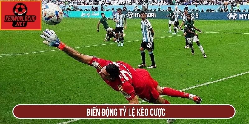 Biến động tỷ lệ kèo cược