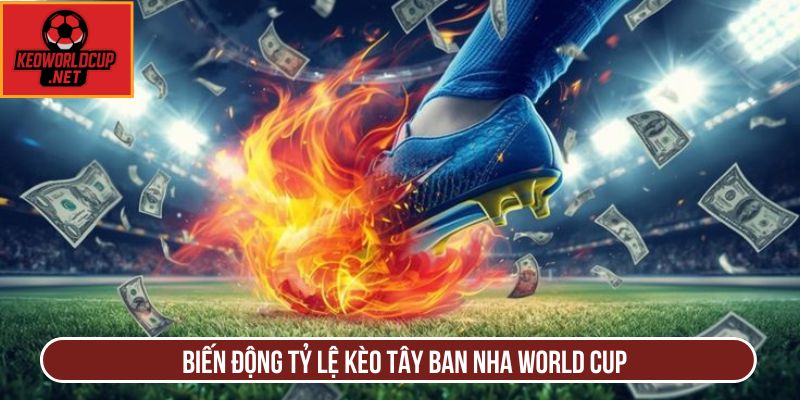 Biến động tỷ lệ kèo Tây Ban Nha World Cup