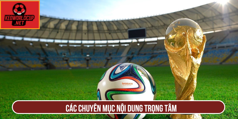 Các chuyên mục nội dung trọng tâm
