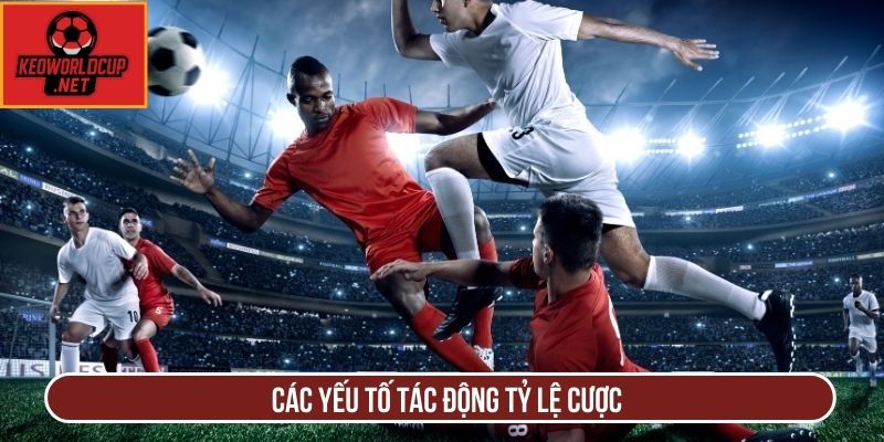 Các yếu tố tác động tỷ lệ cược