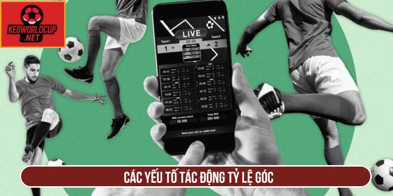 Các yếu tố tác động tỷ lệ góc