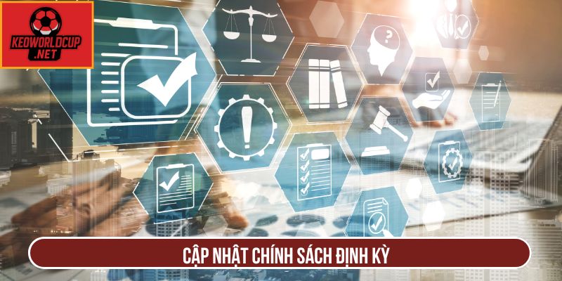Cập nhật chính sách định kỳ