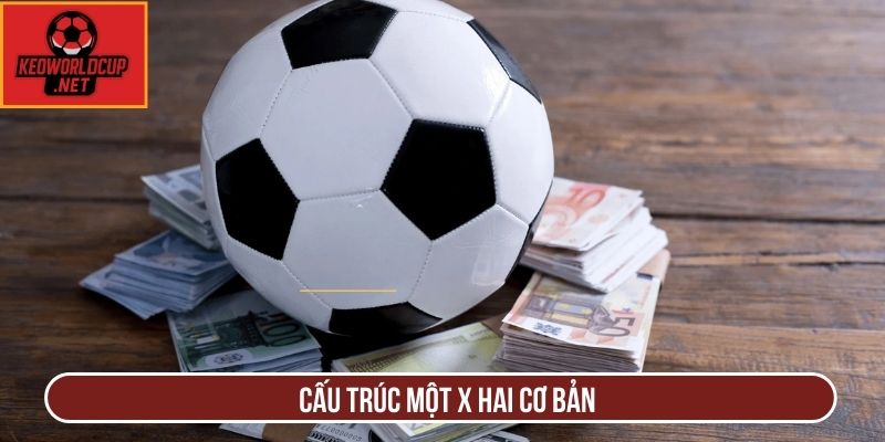 Cấu trúc một x hai cơ bản