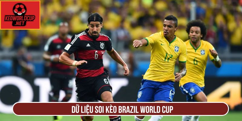 Dữ liệu soi kèo Brazil World Cup