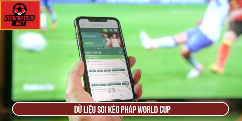 Dữ liệu soi kèo Pháp World Cup