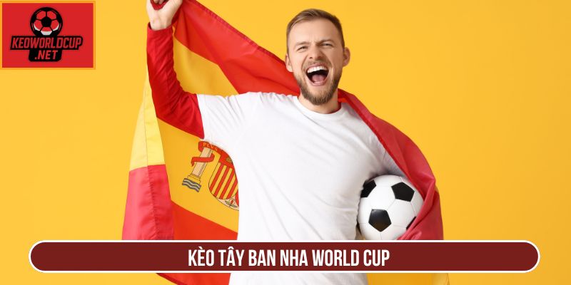 Soi Kèo Tây Ban Nha World Cup Chuẩn Xác Nhất Hôm Nay
