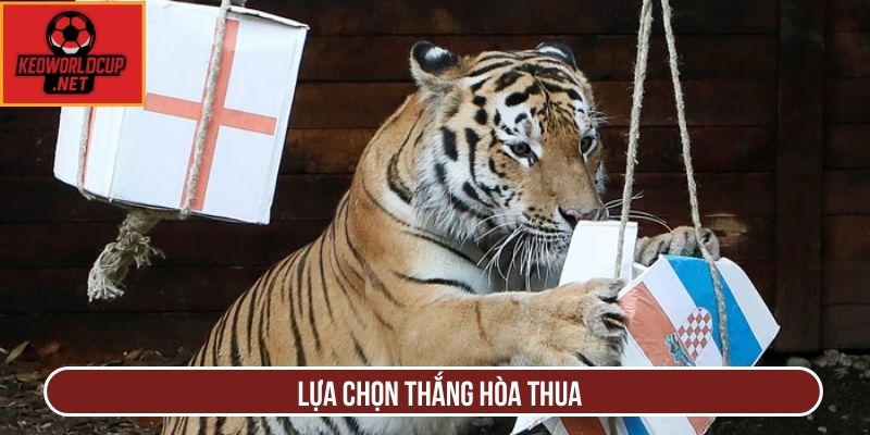 Lựa chọn thắng hòa thua