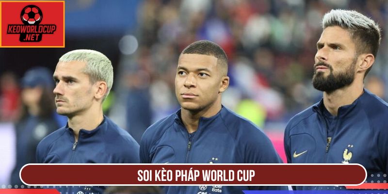 Soi Kèo Pháp World Cup Chính Xác Nhất Tại Keoworldcup