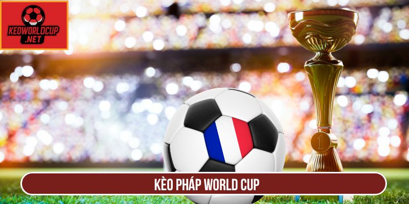 Soi Kèo Pháp World Cup Chuẩn Xác Và Cơ Hội Đầu Tư Lớn