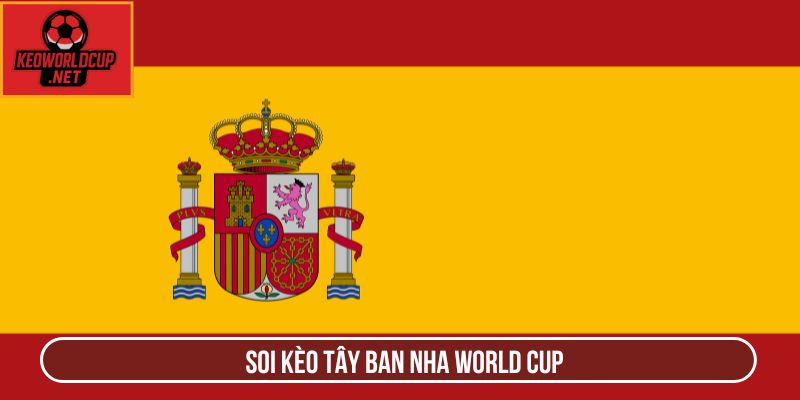 Soi Kèo Tây Ban Nha World Cup Chính Xác Cùng Chuyên Gia