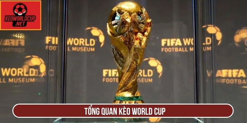 Tổng quan kèo World Cup