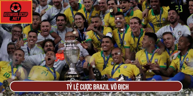 Tỷ lệ cược Brazil vô địch
