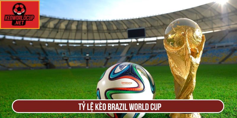 tỷ lệ kèo Brazil World Cup