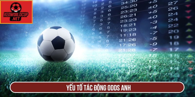 Yếu tố tác động odds Anh